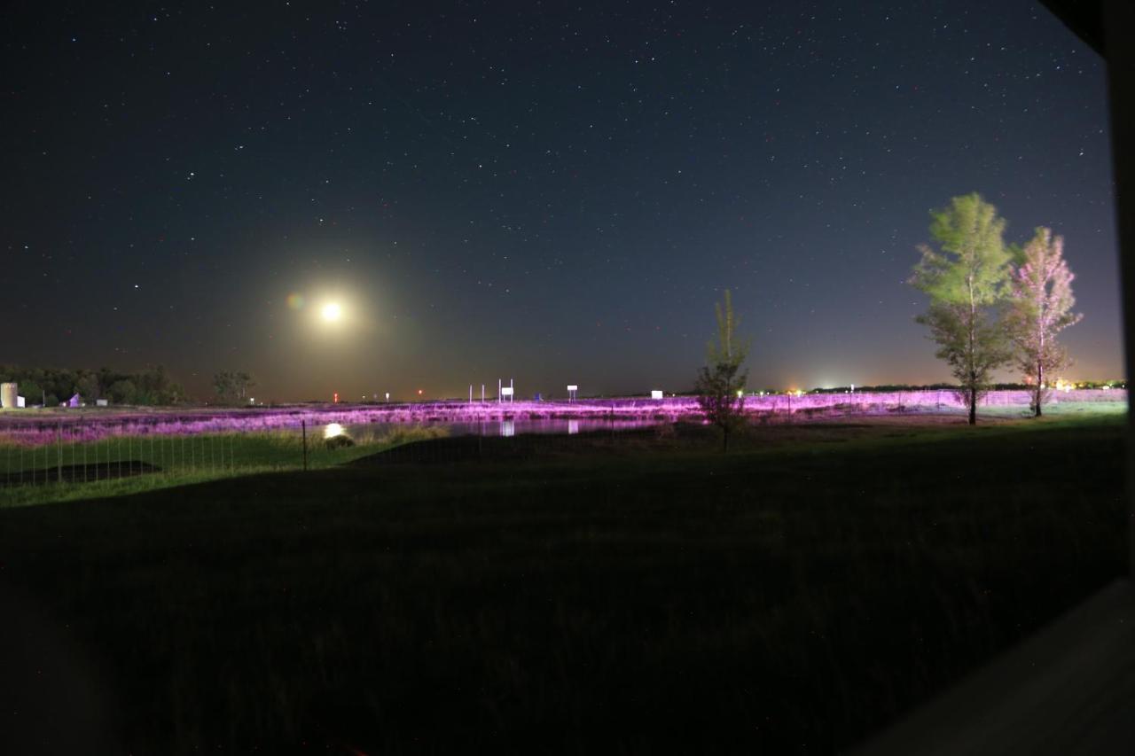 Artos Motel Harvey Zewnętrze zdjęcie